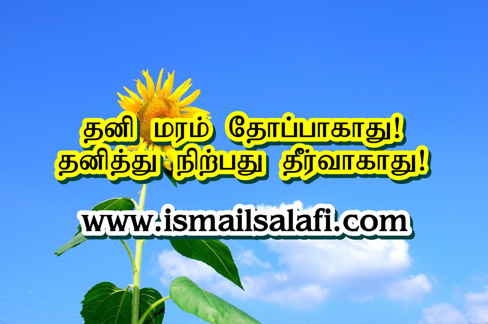 தனி மரம் தோப்பாகாது! தனித்து சிந்திப்பது தீர்வாகாது┇கட்டுரை.