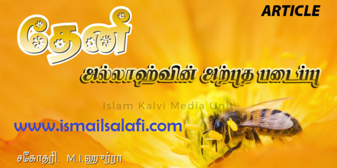 தேனீ – அல்லாஹ்வின் அற்புத படைப்பு | Article