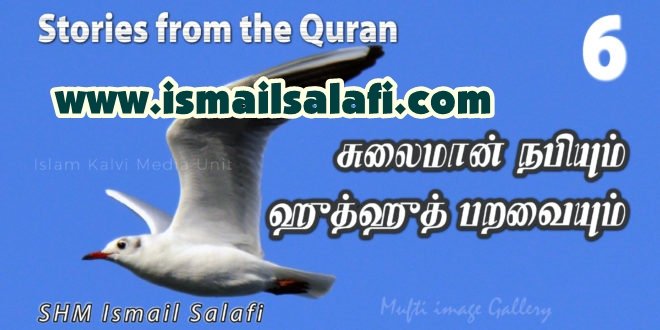 சுலைமான் நபியும் ஹுத்ஹுத் பறவையும் [திருக்குர்ஆன் கூறும் கதைகள்-6]