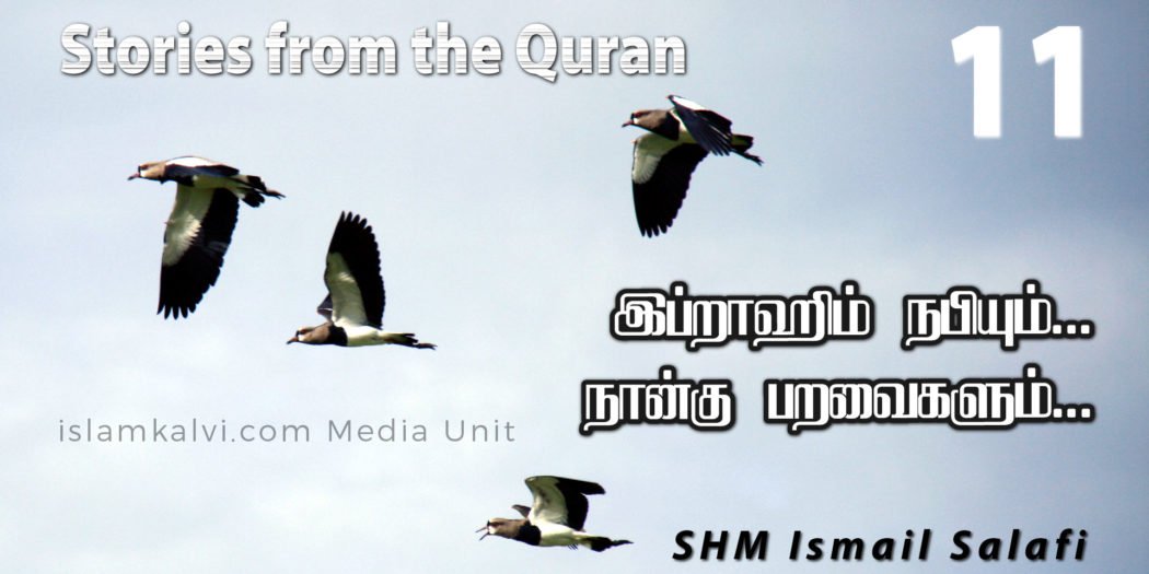 இப்றாஹிம் நபியும்… நான்கு பறவைகளும்… [திருக்குர்ஆன் கூறும் கதைகள்-11]