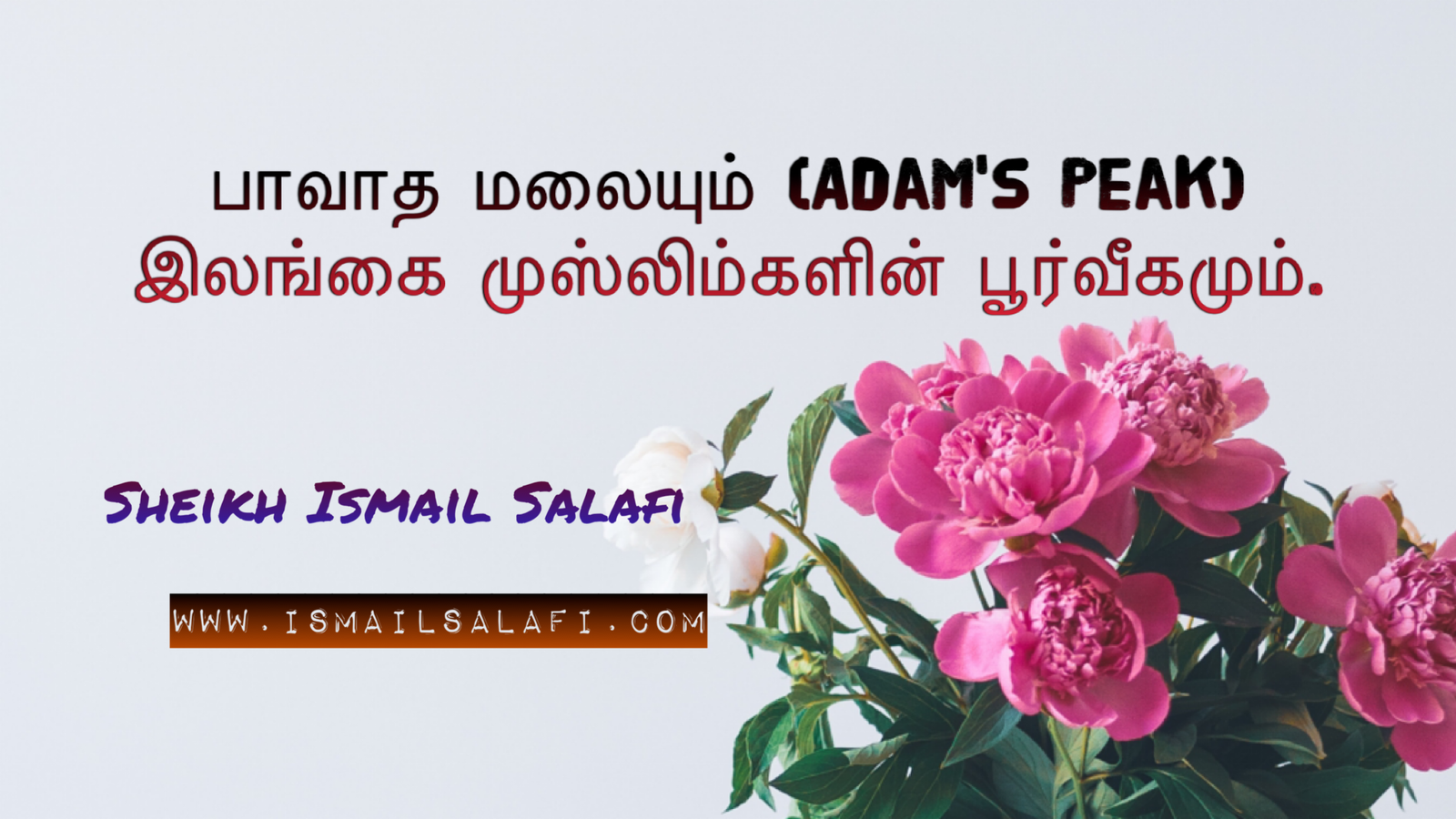 பாவாத மலையும் (Adam’s Peak) இலங்கை முஸ்லிம்களின் பூர்வீகமும்┇Article.