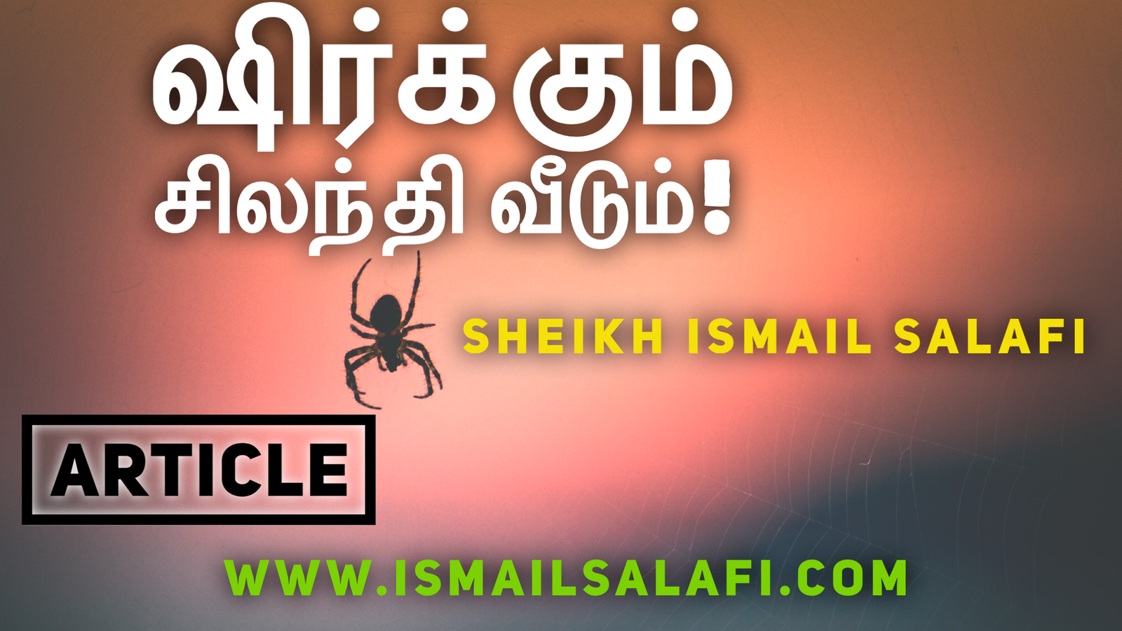 ஷிர்க்கும் சிலந்தி வீடும் | Article